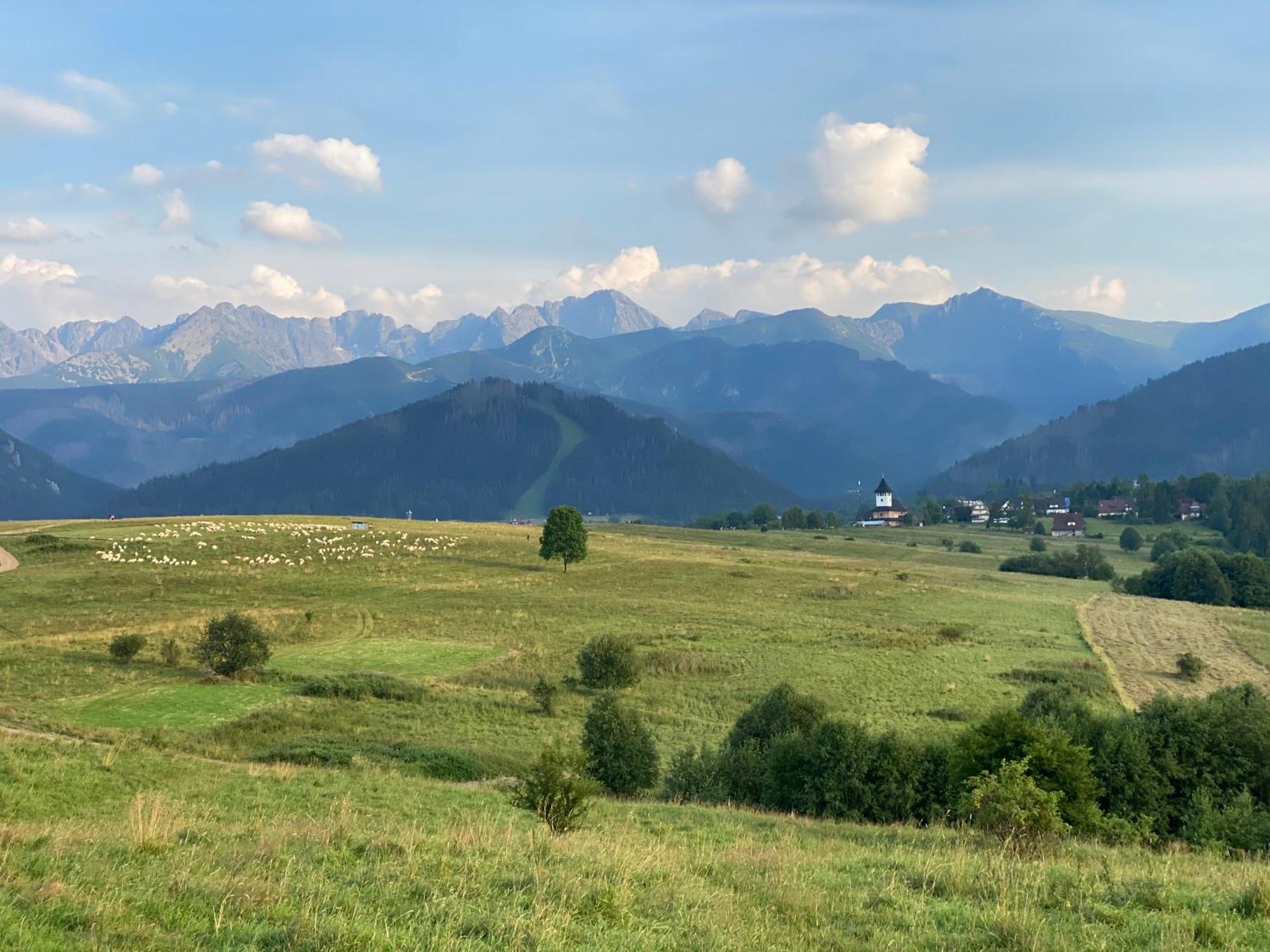 Apartament Pod Wierchem Zakopane Extérieur photo